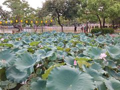 -惠州西湖风景名胜区-丰渚园
