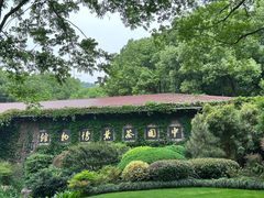 -中国茶叶博物馆(双峰馆区)