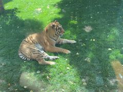 -北京野生动物园