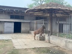 -北京动物园
