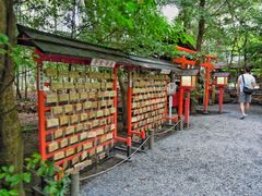 -野宫神社