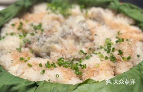 Lotus Leaf Pearl Catfish