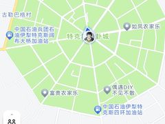 -特克斯八卦城