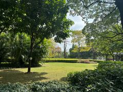 -文华公园(禅城区)