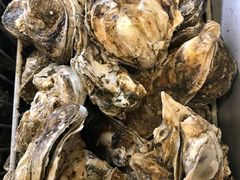 -蚝抵食·湛江生蚝(湾北路店)
