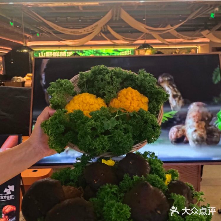 今天是一把养生局,菌汤怎么能这么好喝‼️