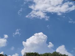 -成都动物园
