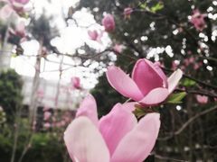 -晓港公园