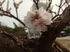 -北京信息科技大学(小营校区)