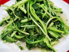 清炒豌豆尖-老边饺子馆(东单店)