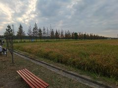 -嘉北郊野公园