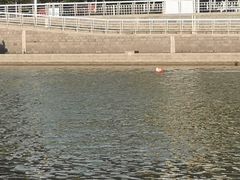 -海河游船(古文化街码头)