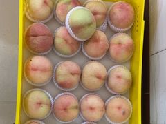 -老袁家蜜桃农场·阳山水蜜桃