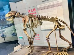 -北京周口店北京人遗址博物馆