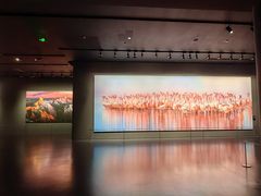 -罗红摄影艺术馆