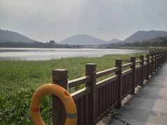 -风云岭森林公园