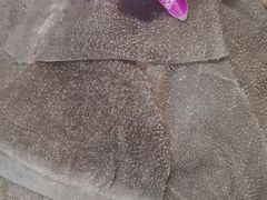 -洞子口重庆鲜货火锅(楚翘城旗舰店)