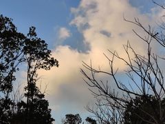 -LUNEURS月乐诗·法式冰淇淋(环贸店)