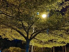 -TAPS精酿啤酒屋