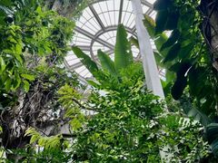 -昆明植物园