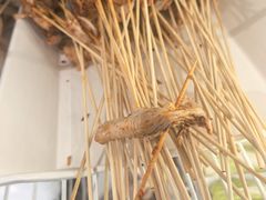 -川成串·自助串串香火锅(朝阳店)