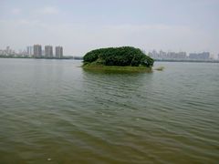 android_upload_pic-艾溪湖湿地公园