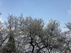 -玲珑塔公园