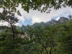 -王顺山国家森林公园