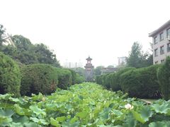 -四川大学(华西校区)