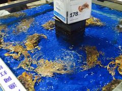 -盒马鲜生(顺义店)