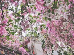 -深圳国际园林花卉博览园