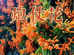 -集美鳌园景区