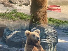 -宁波野生动物园