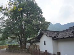 -毛泽东同志旧居