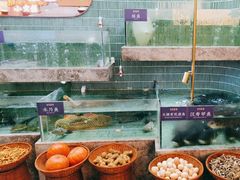 -鱼你相聚·河鲜馆(袁家岭店)