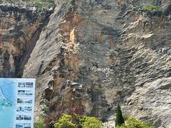 -金钉子远古世界景区