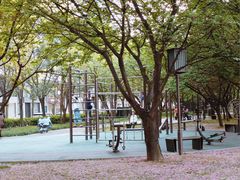 -唐城墙遗址公园