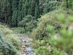 -瓦屋山景区