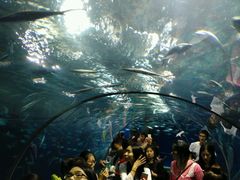 -上海海洋水族馆-停车场