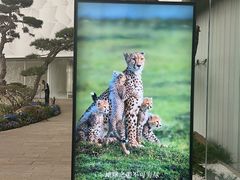 -罗红摄影艺术馆