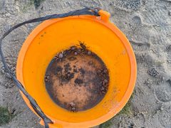 -北海金海湾红树林生态旅游区