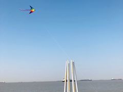-上海滨江森林公园