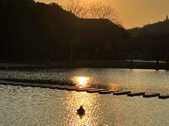 -上海佘山茂御臻品之选酒店(原佘山艾美酒店)