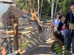 -泉州海丝野生动物世界