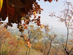 -北京鹫峰国家森林公园