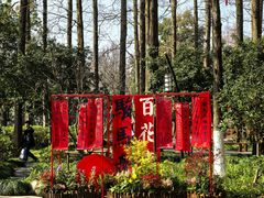 -北山街历史文化街区
