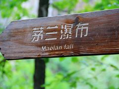 -茅兰沟国家森林公园
