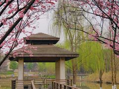 -沐仙湖湿地公园