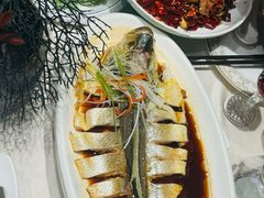 -迦南苑·新派青岛菜·生日纪念日主题餐厅