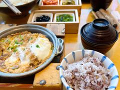 陶板锅-胜博殿日式炸猪排(西红门店)